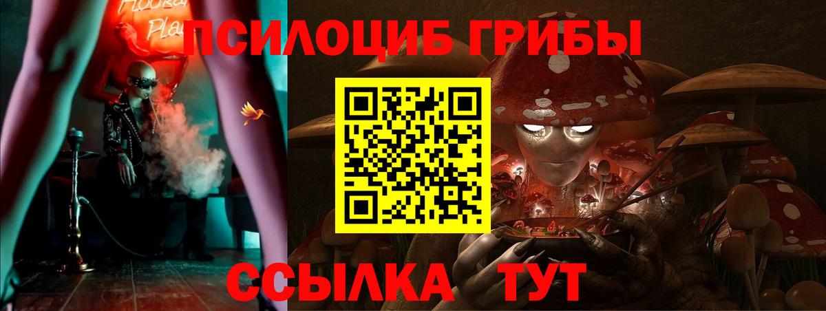Саянск  Галлюциногенные грибы ЛСД  Вход с VPN 